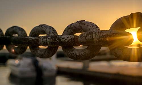 Three essential lessons for a safe feed chain