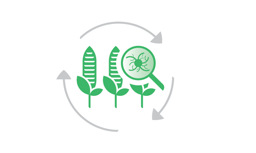 Protocol Monitoring Aflatoxin B1