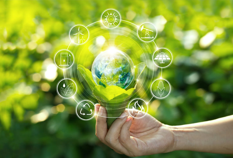 Pasze zrównoważone: wiele pytań, wiele wyzwań