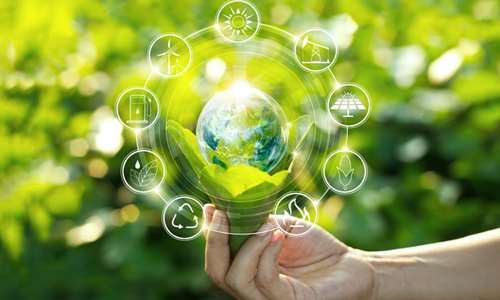 Pasze zrównoważone: wiele pytań, wiele wyzwań