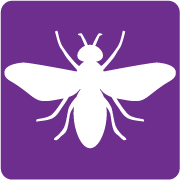 Aan welke inkoopvoorwaarden moet ik voldoen ?