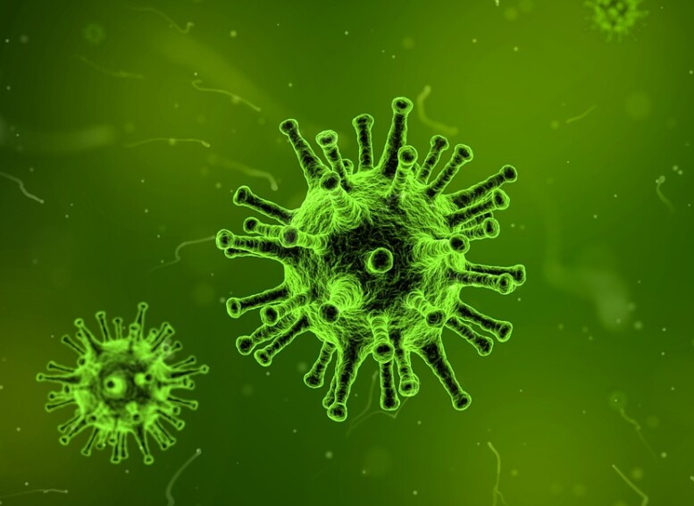 Audyt GMP+ podczas pandemii Covid-19 