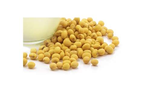 Newly authorized feed materials and other developments in FSP