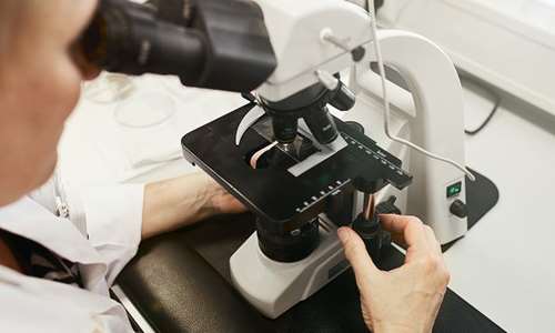 First GMP+ FSA certificate issued to GMP+ registered laboratory