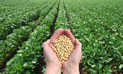 Benchmark teeltschema's