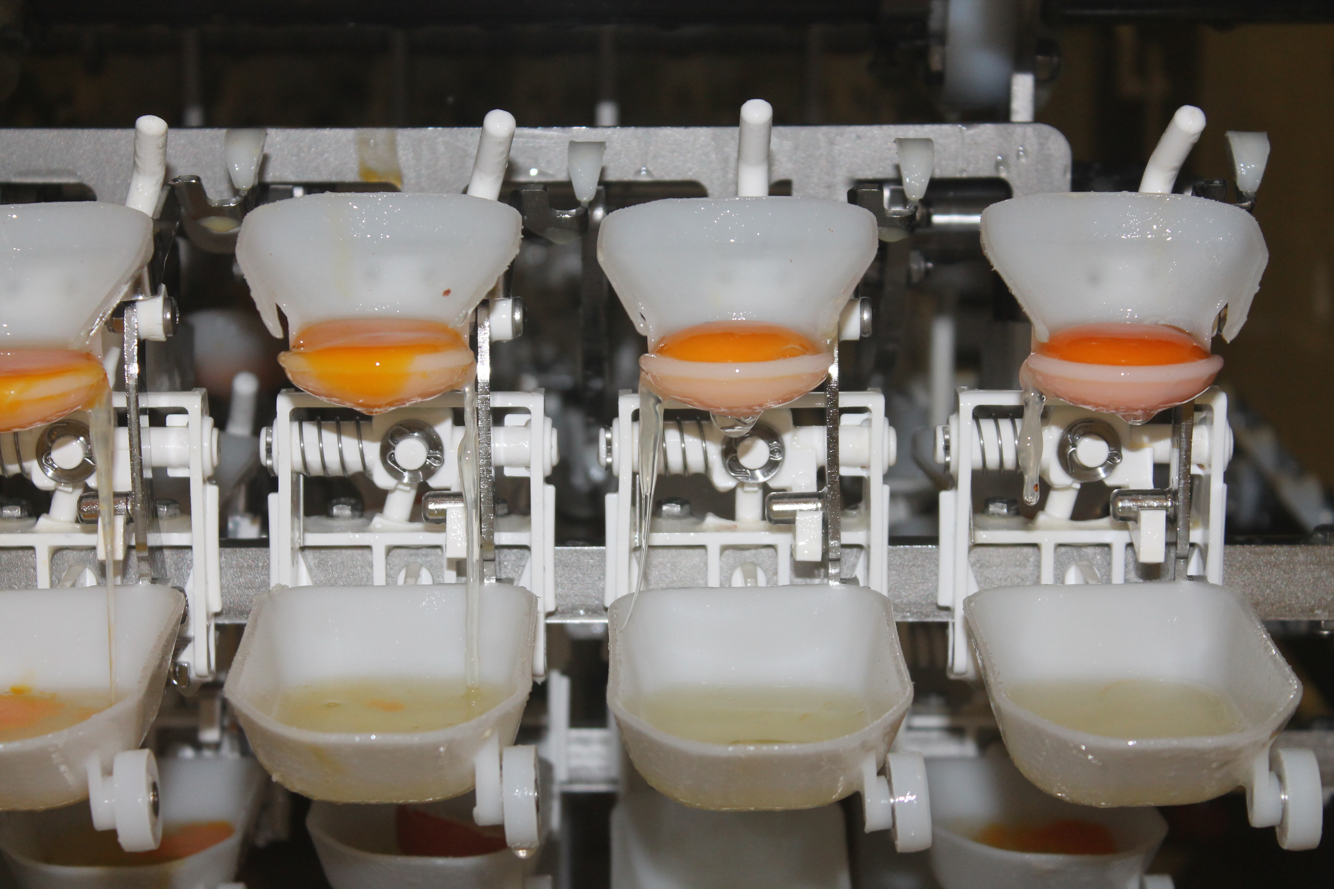 Ja‘Certyfikacja GMP+ jest wysoko ceniona przez naszych klientów’