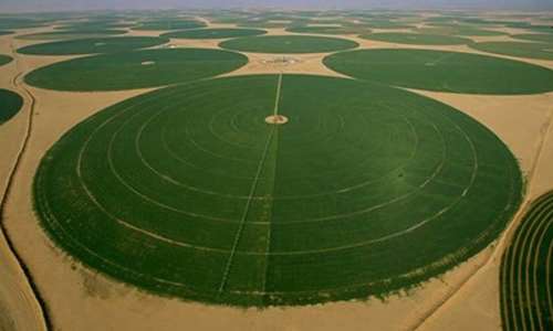 Near East & North Africa: