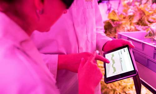 Dalej razem dla Bezpieczeństwa Pasz na Całym Świecie