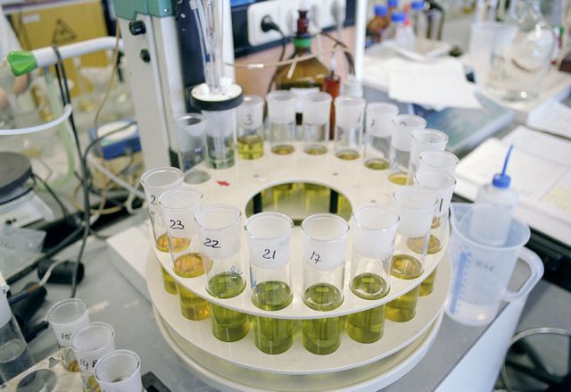 Jak w prosty sposób ocenić wyniki analiz?