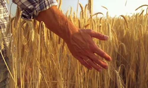 Lepsza współpraca wewnątrz łańcucha: zrób pierwszy krok