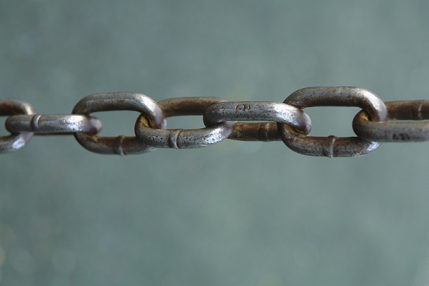 Chain approach: joint and individual responsibility for safe feed